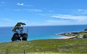 Penguin Seaside Farm